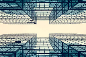 Professional services firms