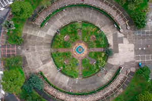 Development sector organizations