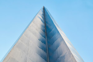 Founders and senior professionals in services-led roles