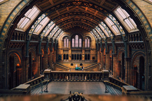 Policy, research, and knowledge institutions